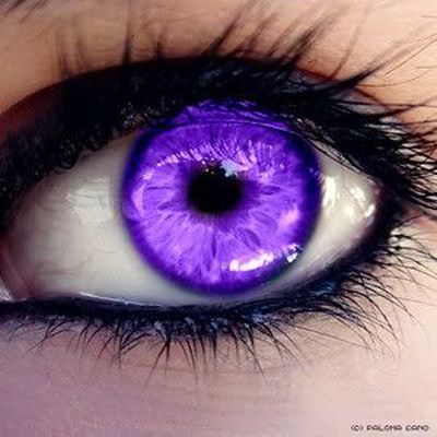 What is purple eye disease?