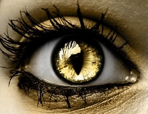 How To Wear Gold Eye Makeup: 7 Ideas and Tutorial Videos