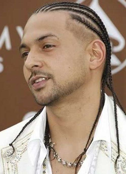 Long Braided Hairstyle for men