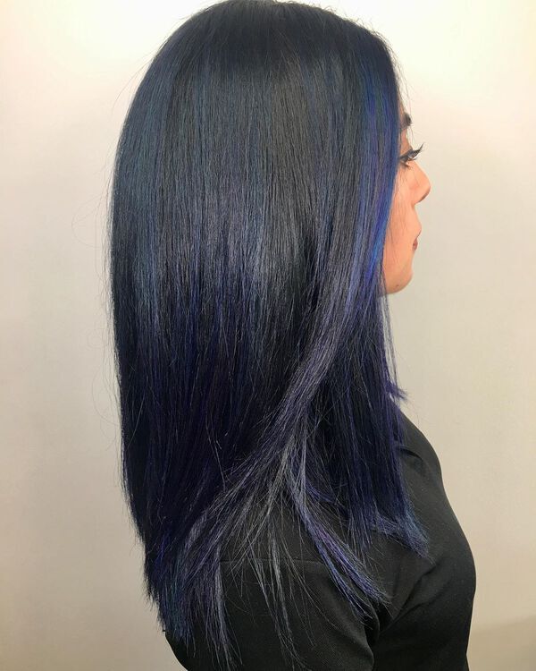 Berry Blue Black Hair Color