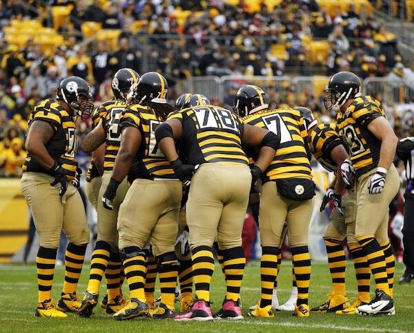 pittsburgh steelers bumble bee